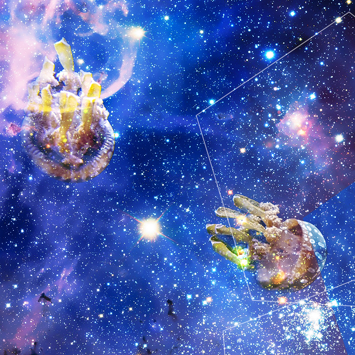 Space Jellyfish