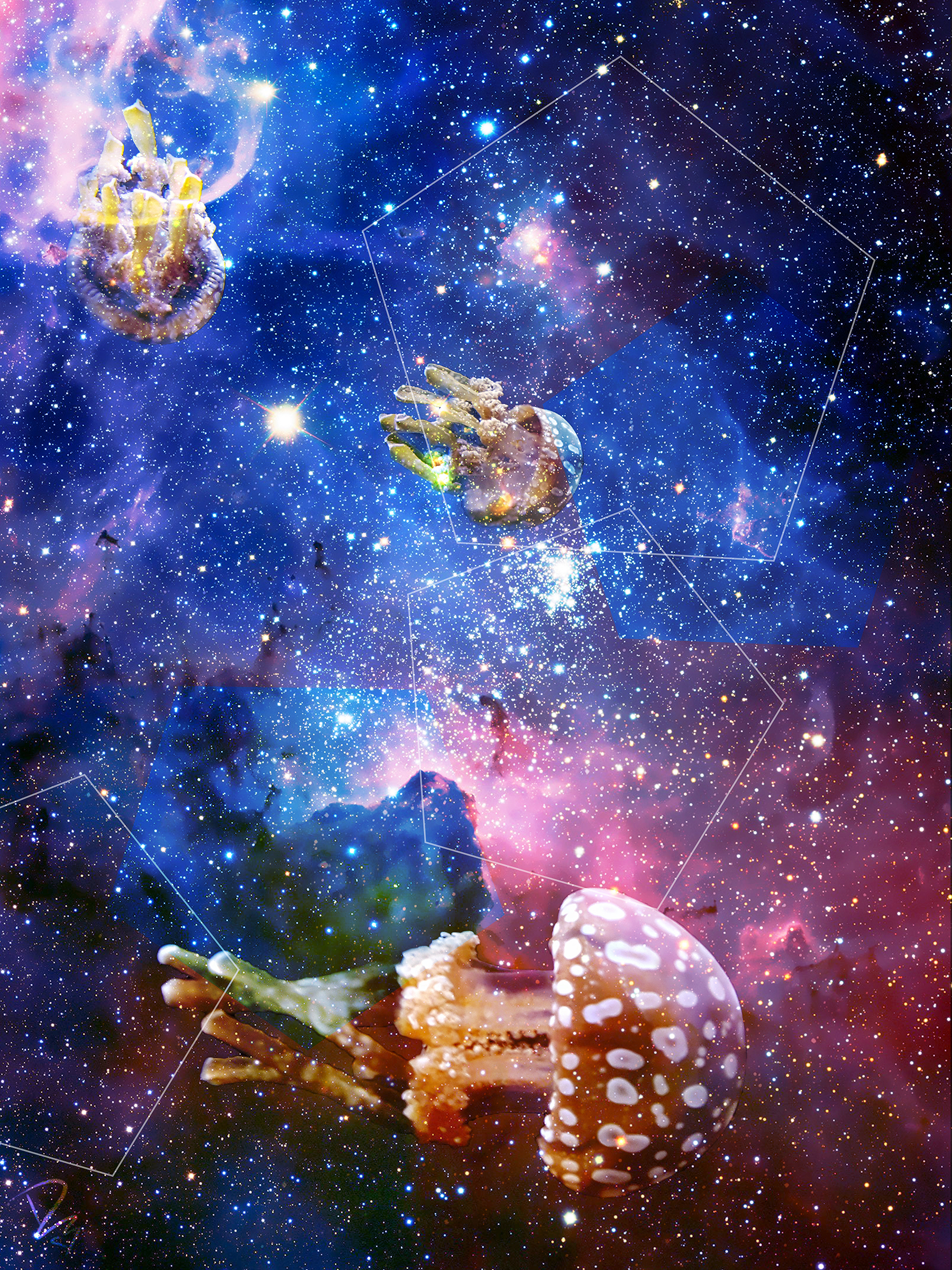 Jellyfish Stardust